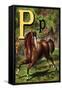 P For the Pony That Plays In the Park-Edmund Evans-Framed Stretched Canvas