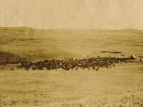 Round-Up On Range West Of Ft. Pierre 1903-09-P.H Kellogg-Framed Art Print