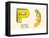 P is a Parrot-null-Framed Stretched Canvas