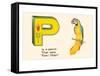 P is a Parrot-null-Framed Stretched Canvas