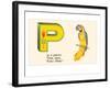 P is a Parrot-null-Framed Art Print