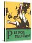 P is for Pelican-null-Stretched Canvas