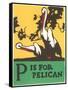 P is for Pelican-null-Framed Stretched Canvas