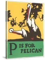 P is for Pelican-null-Stretched Canvas