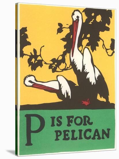 P is for Pelican-null-Stretched Canvas