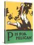 P is for Pelican-null-Stretched Canvas