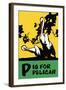 P is for Pelican-Charles Buckles Falls-Framed Art Print