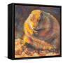 P is for Prairie Dog-Rita Kirkman-Framed Stretched Canvas