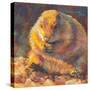 P is for Prairie Dog-Rita Kirkman-Stretched Canvas
