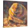 P is for Prairie Dog-Rita Kirkman-Stretched Canvas