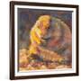 P is for Prairie Dog-Rita Kirkman-Framed Art Print