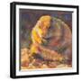 P is for Prairie Dog-Rita Kirkman-Framed Art Print