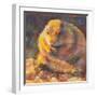 P is for Prairie Dog-Rita Kirkman-Framed Art Print