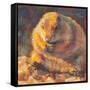 P is for Prairie Dog-Rita Kirkman-Framed Stretched Canvas