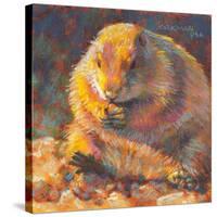 P is for Prairie Dog-Rita Kirkman-Stretched Canvas