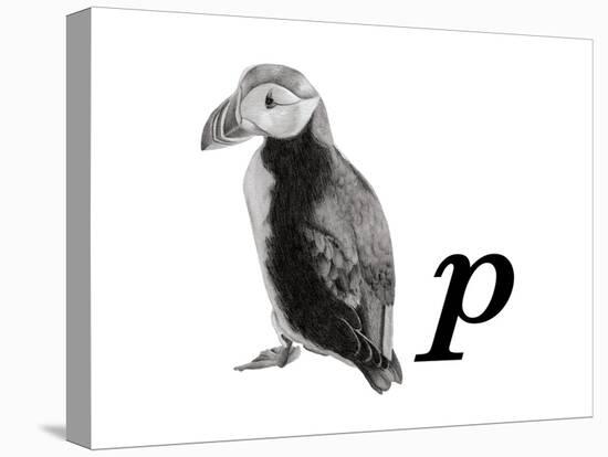 P is for Puffin-Stacy Hsu-Stretched Canvas