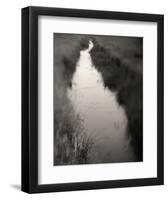 P. Ivy-Andrew Ren-Framed Art Print