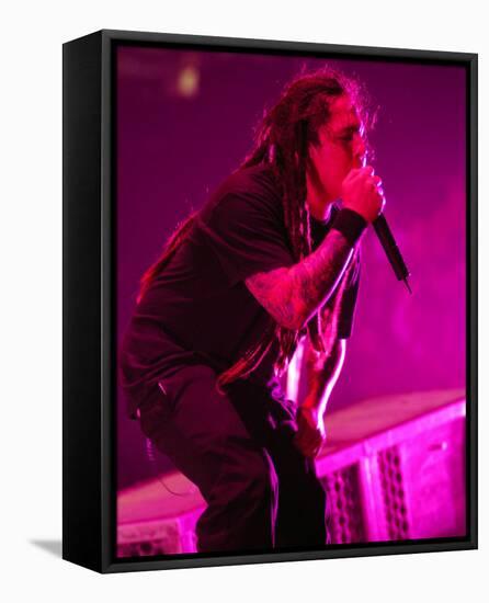 P.O.D.-null-Framed Stretched Canvas