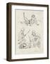 PA - Le tigre des Ming 14-Charles Lapicque-Framed Limited Edition