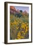 Pa Rus Trail Scene, Zion Canyon-Vincent James-Framed Premium Photographic Print
