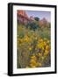 Pa Rus Trail Scene, Zion Canyon-Vincent James-Framed Premium Photographic Print