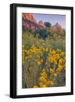 Pa Rus Trail Scene, Zion Canyon-Vincent James-Framed Photographic Print