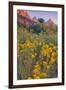 Pa Rus Trail Scene, Zion Canyon-Vincent James-Framed Photographic Print