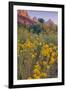 Pa Rus Trail Scene, Zion Canyon-Vincent James-Framed Photographic Print