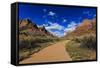 Pa'Rus Trail Winds Through Zion Canyon in Winter, Zion National Park, Utah, Usa-Eleanor Scriven-Framed Stretched Canvas