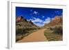 Pa'Rus Trail Winds Through Zion Canyon in Winter, Zion National Park, Utah, Usa-Eleanor Scriven-Framed Photographic Print