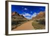 Pa'Rus Trail Winds Through Zion Canyon in Winter, Zion National Park, Utah, Usa-Eleanor Scriven-Framed Photographic Print