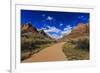 Pa'Rus Trail Winds Through Zion Canyon in Winter, Zion National Park, Utah, Usa-Eleanor Scriven-Framed Photographic Print