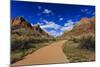 Pa'Rus Trail Winds Through Zion Canyon in Winter, Zion National Park, Utah, Usa-Eleanor Scriven-Mounted Photographic Print