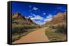 Pa'Rus Trail Winds Through Zion Canyon in Winter, Zion National Park, Utah, Usa-Eleanor Scriven-Framed Stretched Canvas