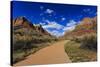 Pa'Rus Trail Winds Through Zion Canyon in Winter, Zion National Park, Utah, Usa-Eleanor Scriven-Stretched Canvas