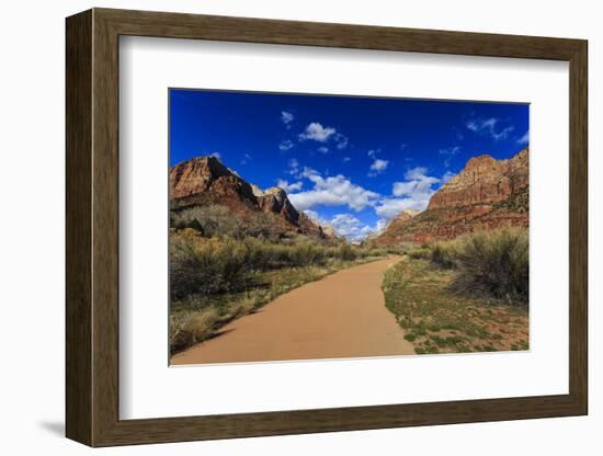 Pa'Rus Trail Winds Through Zion Canyon in Winter, Zion National Park, Utah, Usa-Eleanor Scriven-Framed Photographic Print