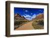 Pa'Rus Trail Winds Through Zion Canyon in Winter, Zion National Park, Utah, Usa-Eleanor Scriven-Framed Photographic Print