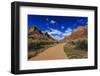 Pa'Rus Trail Winds Through Zion Canyon in Winter, Zion National Park, Utah, Usa-Eleanor Scriven-Framed Photographic Print