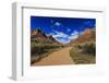 Pa'Rus Trail Winds Through Zion Canyon in Winter, Zion National Park, Utah, Usa-Eleanor Scriven-Framed Photographic Print