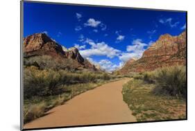 Pa'Rus Trail Winds Through Zion Canyon in Winter, Zion National Park, Utah, Usa-Eleanor Scriven-Mounted Photographic Print