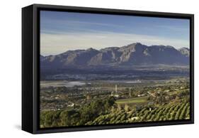 Paarl Valley at sunrise, Paarl, Western Cape, South Africa, Africa-Ian Trower-Framed Stretched Canvas