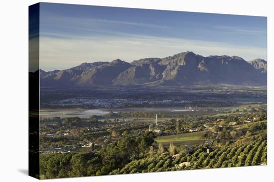 Paarl Valley at sunrise, Paarl, Western Cape, South Africa, Africa-Ian Trower-Stretched Canvas