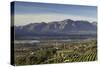 Paarl Valley at sunrise, Paarl, Western Cape, South Africa, Africa-Ian Trower-Stretched Canvas