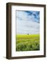 Paarl-Shot by Clint-Framed Photographic Print