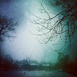 Snowy Winter Scene-pablo guzman-Photographic Print