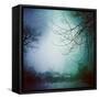 Canvas Black