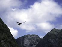 A Climber Enjoying the View Over the Mountain Landscape, Chile-Pablo Sandor-Photographic Print