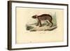 Paca, 1863-79-Raimundo Petraroja-Framed Giclee Print