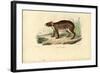 Paca, 1863-79-Raimundo Petraroja-Framed Giclee Print