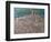 Pacentro, Abruzzi, Italy-Rosemary Lowndes-Framed Giclee Print
